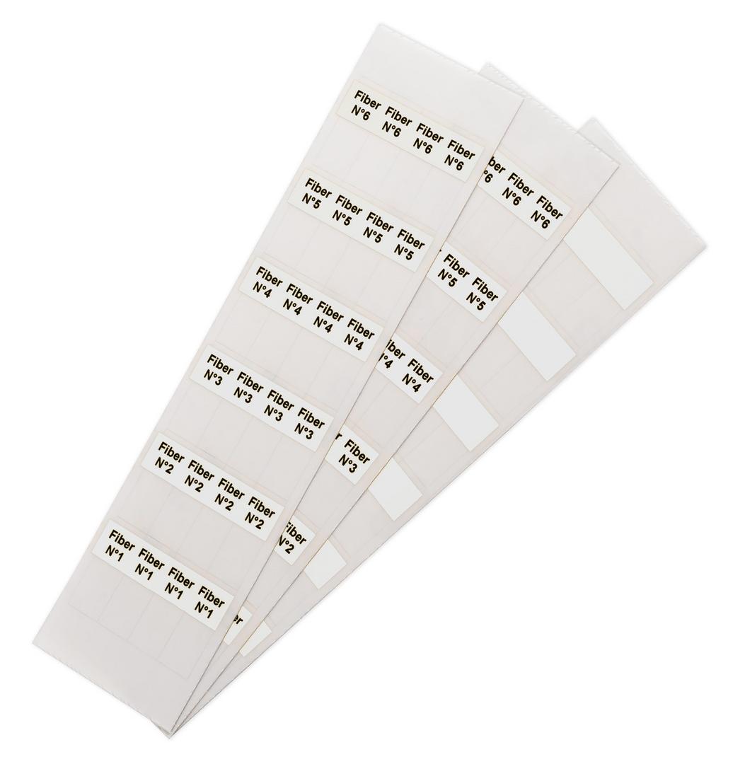 VYL-EVOSL034013 WH